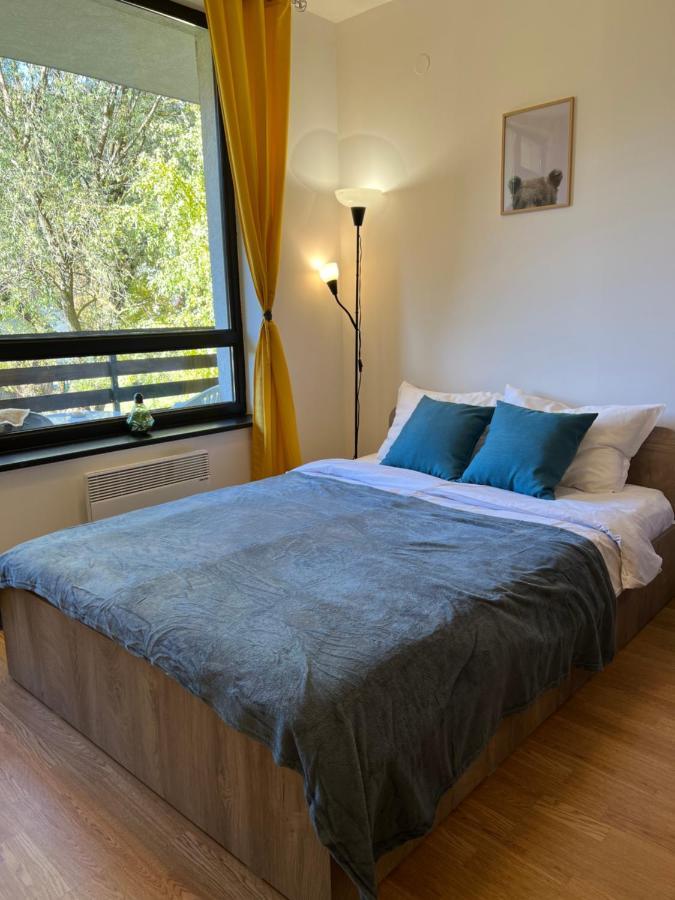 Cosy Studios With Mountain View Near Bansko ラズロク エクステリア 写真