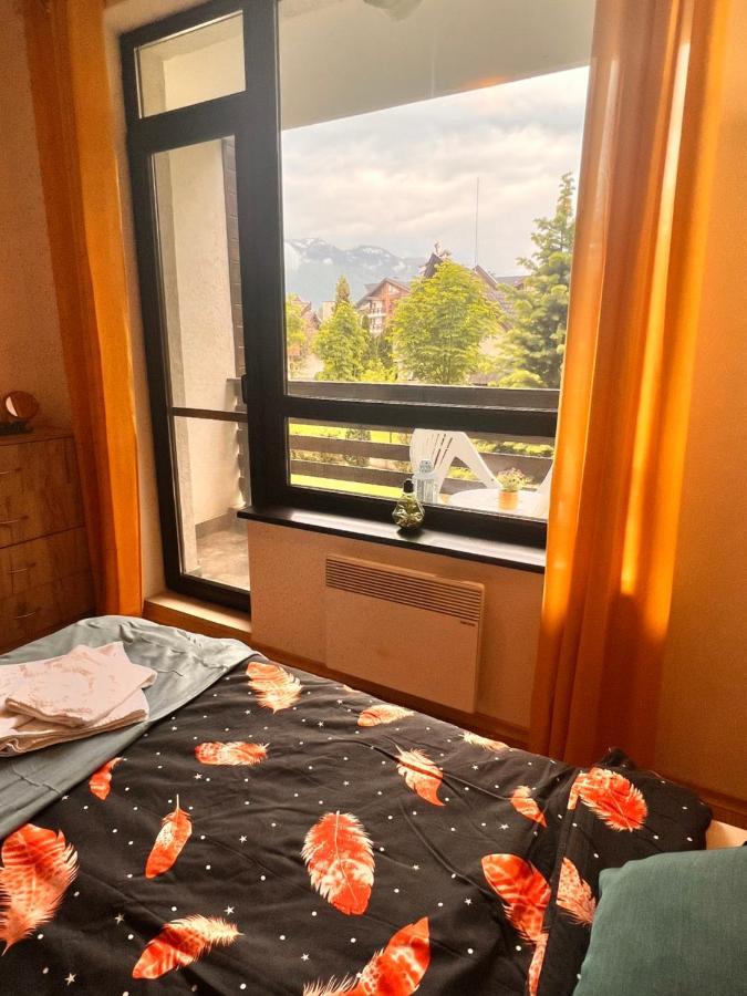 Cosy Studios With Mountain View Near Bansko ラズロク エクステリア 写真