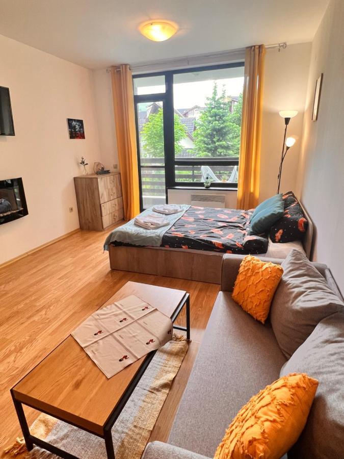 Cosy Studios With Mountain View Near Bansko ラズロク エクステリア 写真