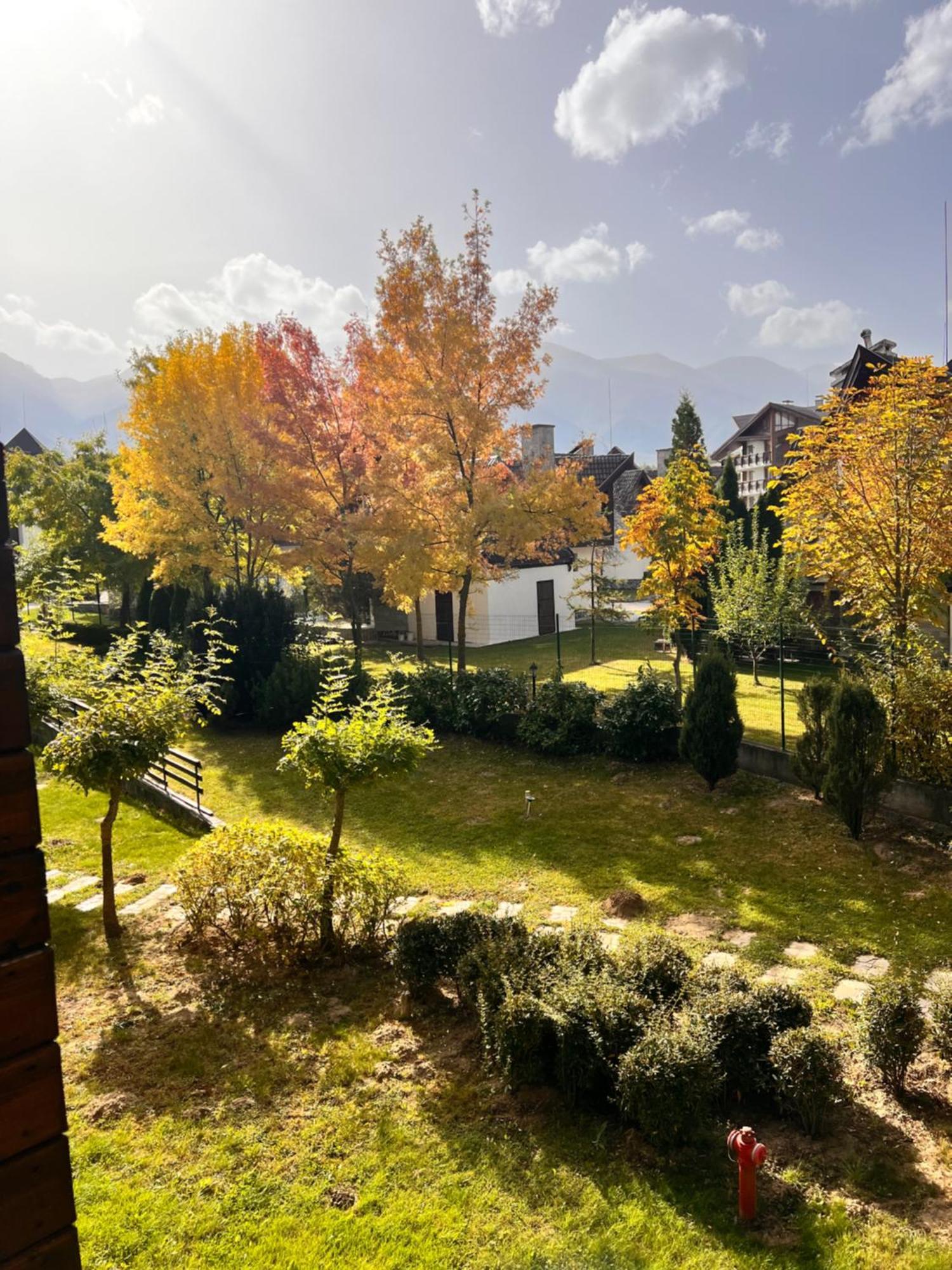 Cosy Studios With Mountain View Near Bansko ラズロク エクステリア 写真